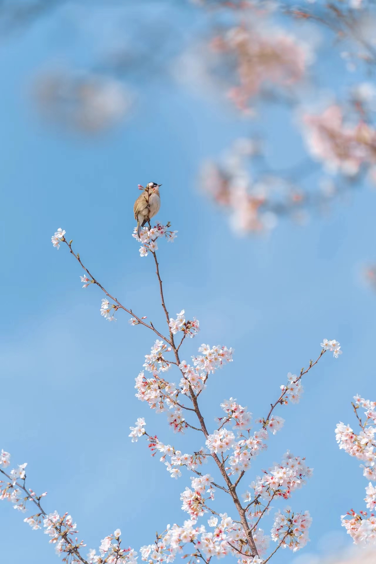 提前十分鐘，人生大不同